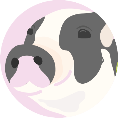 Profilbild von Chris